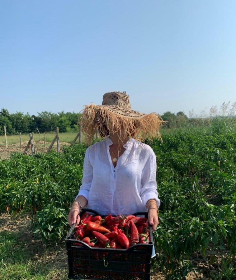 فندق Agroturizem Gjepali Shijak المظهر الخارجي الصورة